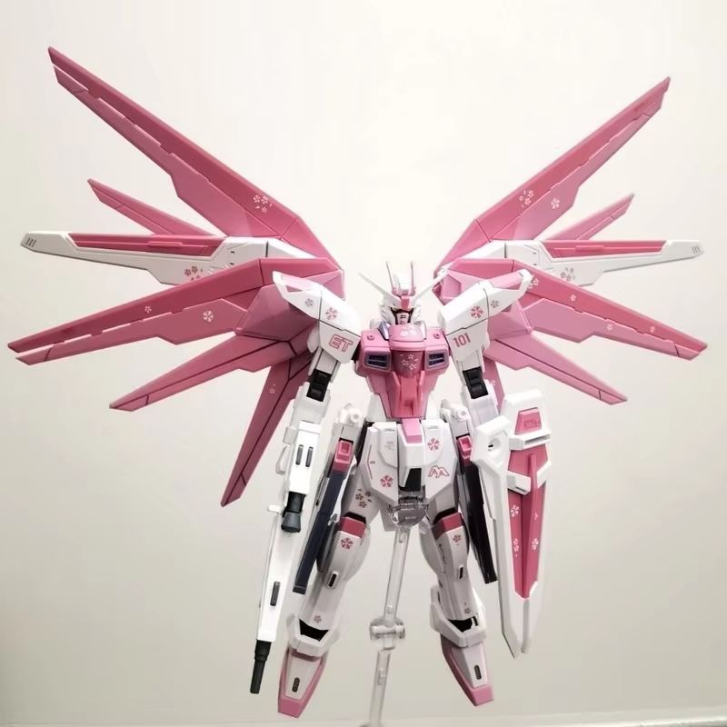JMS HG 1/144 ZY-06 Freedom Ass – обзор и цена Bandai Model Gundam Hg